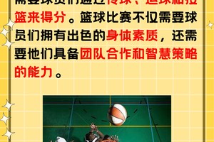 篮球训练主题有哪些项目